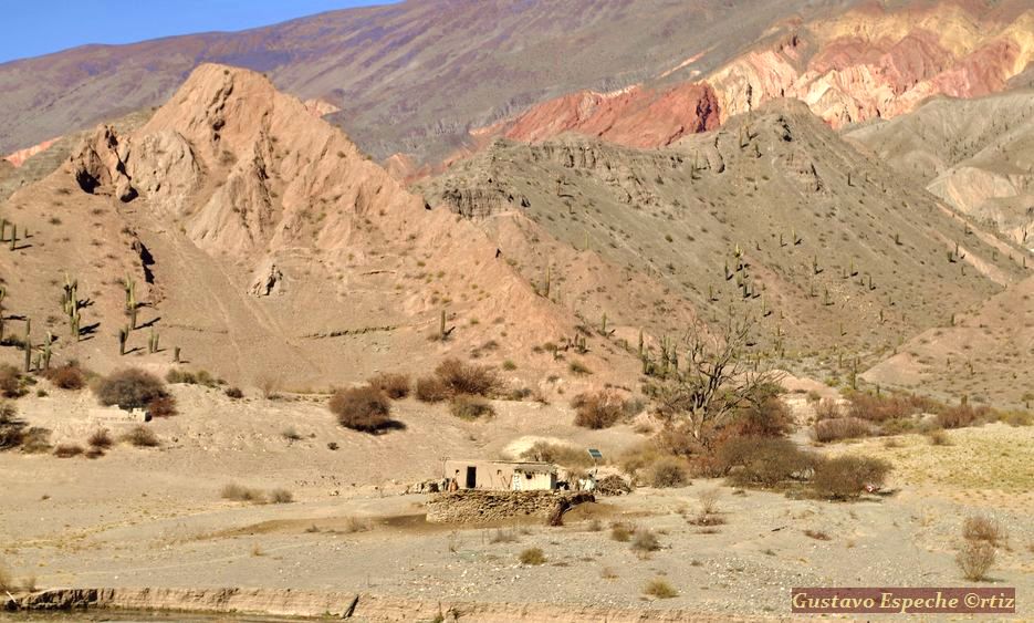 Crónicas del Sur del Mundo Tren a las Nubes: Un viaje por paisajes, sensaciones y el tiempo
